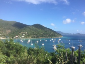 great harbor jvd