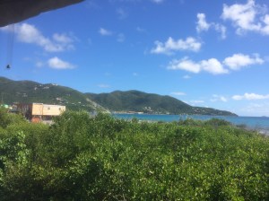 view rbviyc